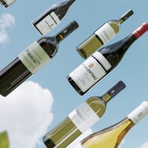 Villa Schinosa Tasting Room Collection